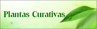 Plantas Curativas